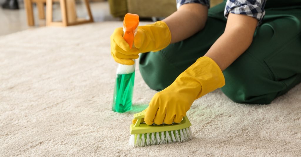 Best Way to Clean Carpet Without Water