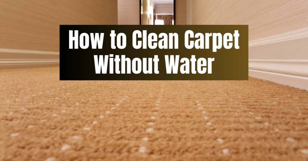 How to Clean Carpet Without Water