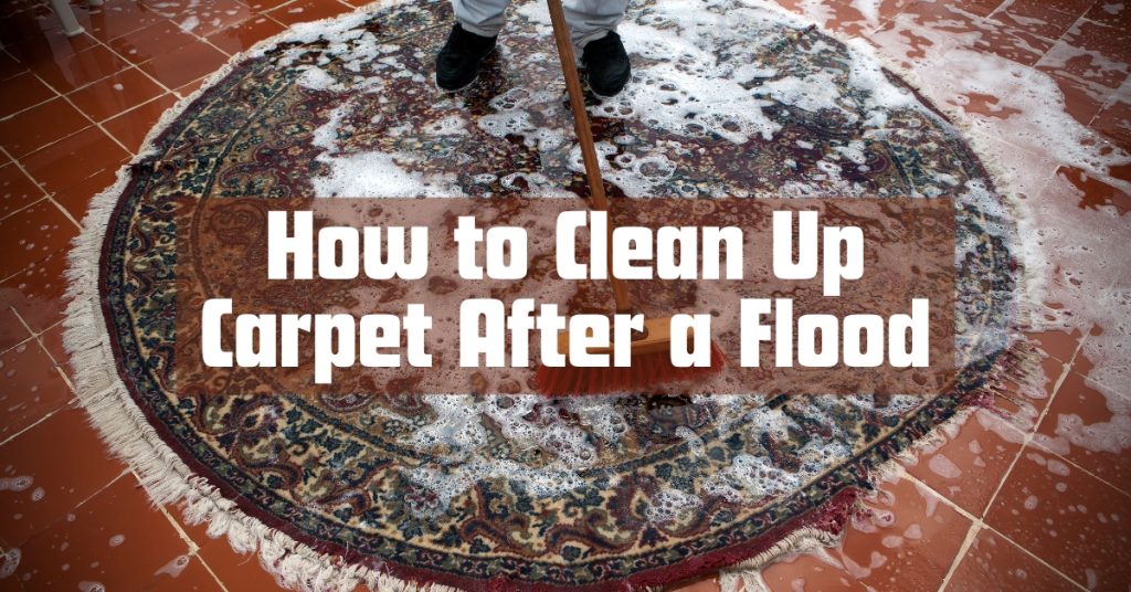 How to Clean Up Carpet After a Flood