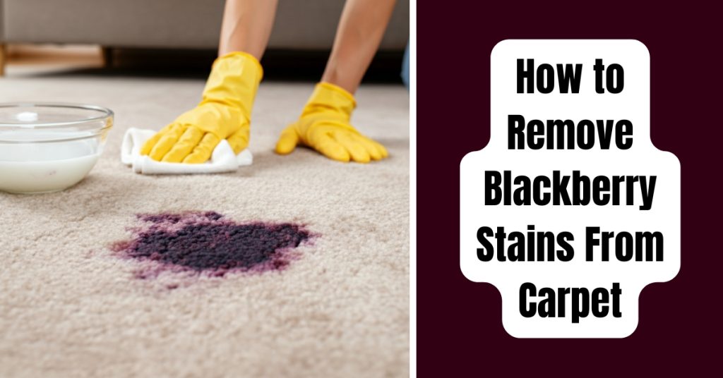 How to Remove Blackberry Stains From Carpet