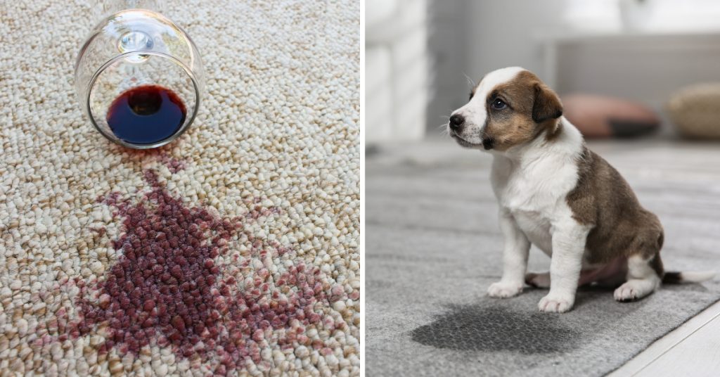 Tips for Different Types of Carpet Stains