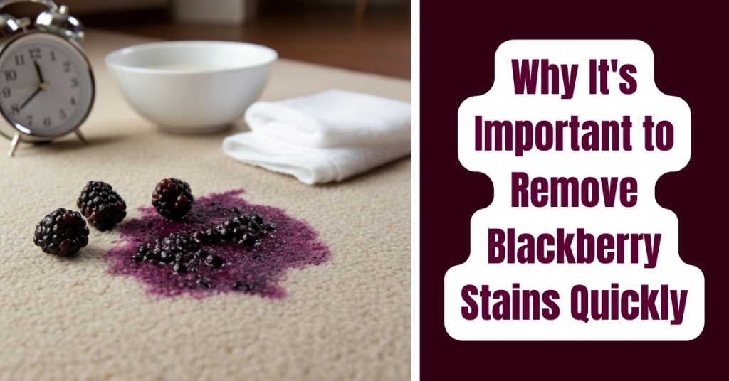 Why It's Important to Remove Blackberry Stains Quickly
