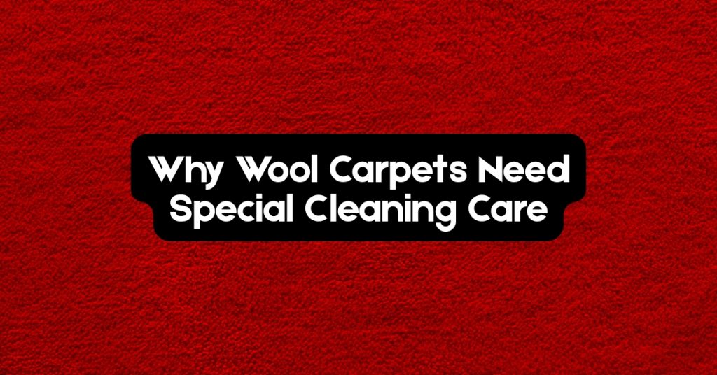 Why Wool Carpets Need Special Cleaning Care