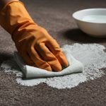 How to Clean Paint Stains from Carpet