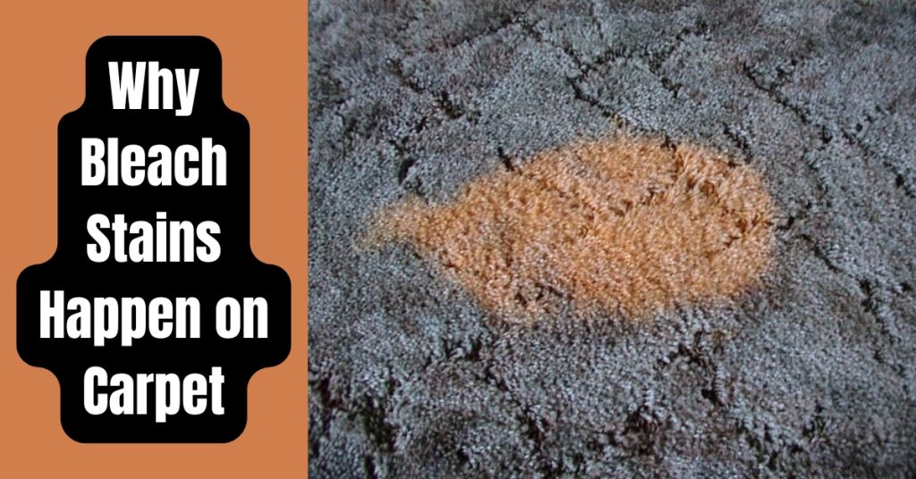 Why Bleach Stains Happen on Carpet