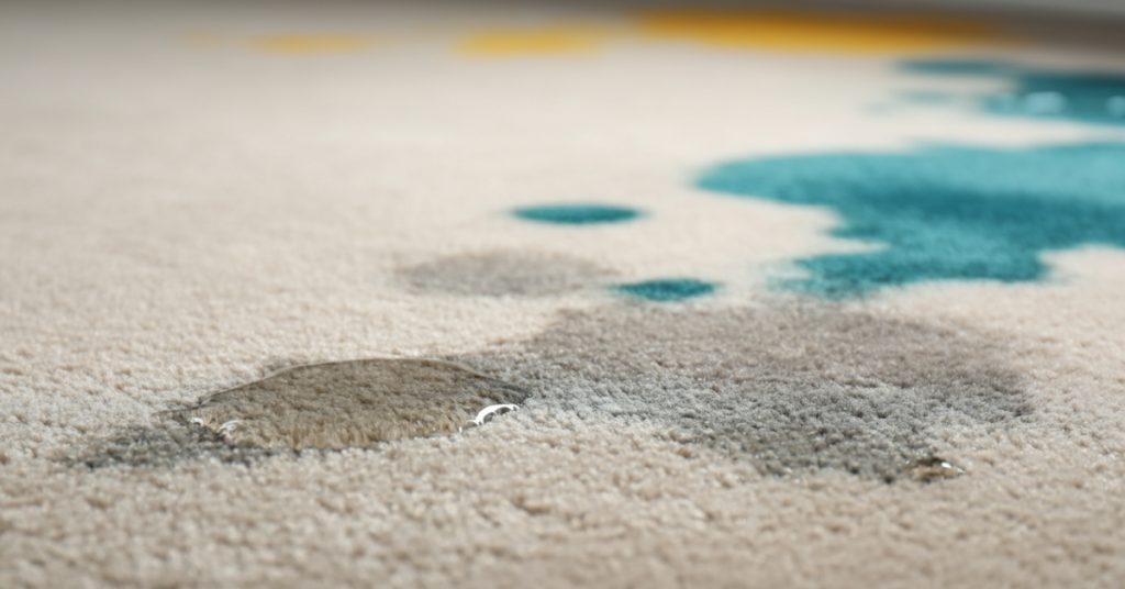 Why Water Stains Appear on Carpets